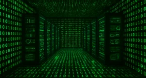 Master data management in Shared Services
