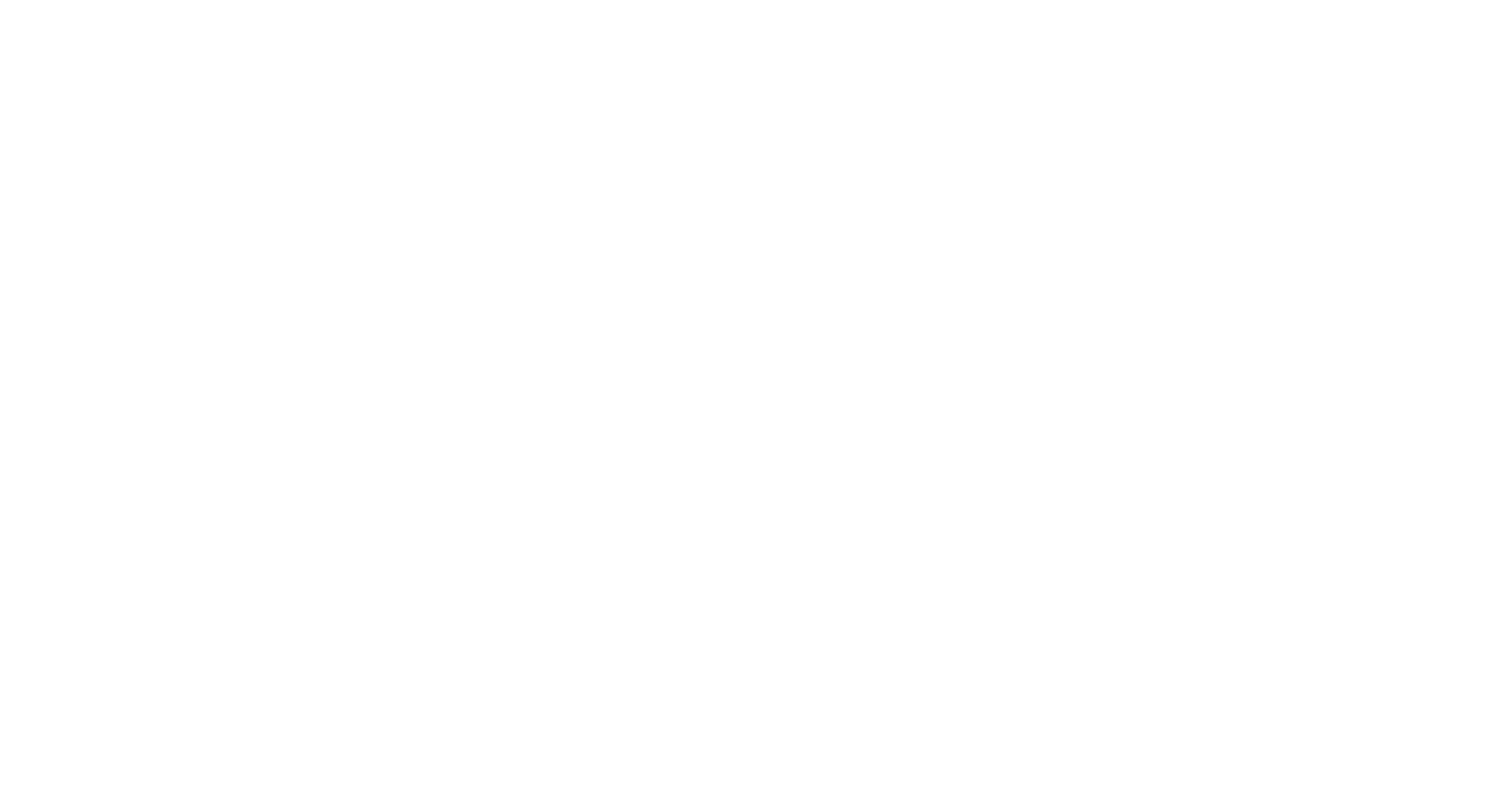 ANSR Logo